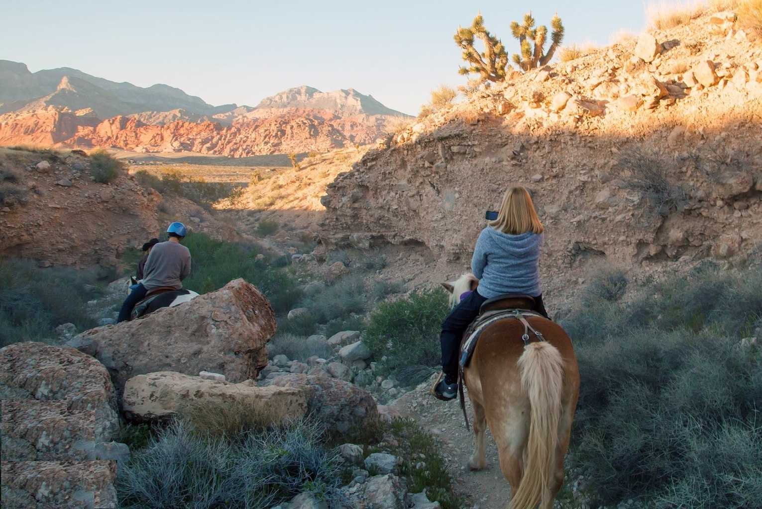 horseback ride tour las vegas